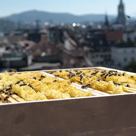 Schweizerhof & 5* Berne