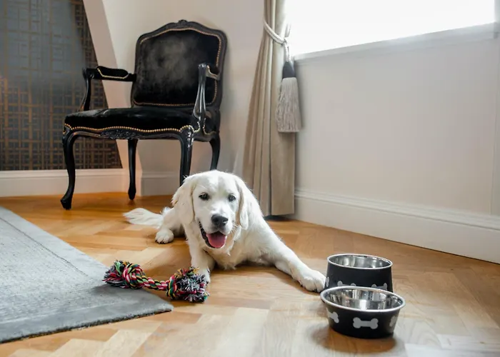 Hotell Schweizerhof &