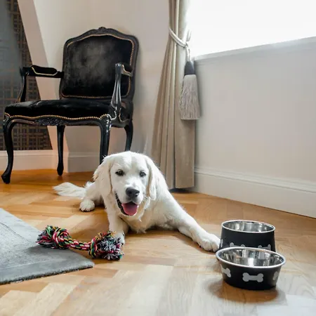 Hotel Schweizerhof &