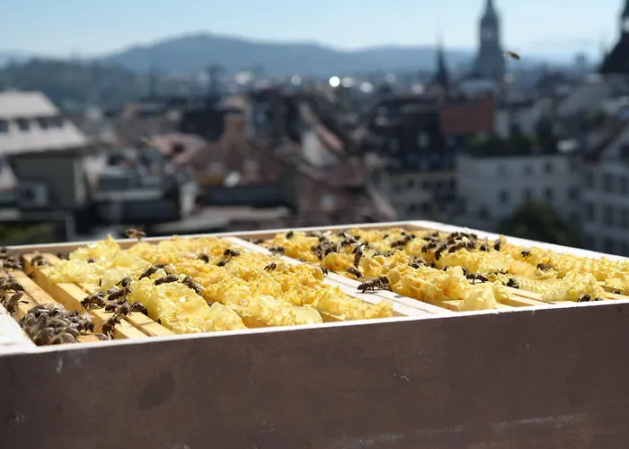 Schweizerhof & 5* Berne